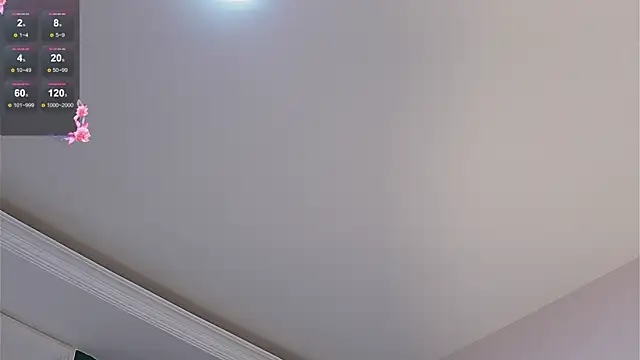 caroline_adams_ webcam