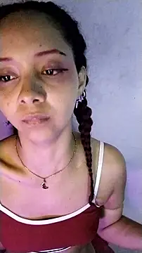 MIlan333X webcam