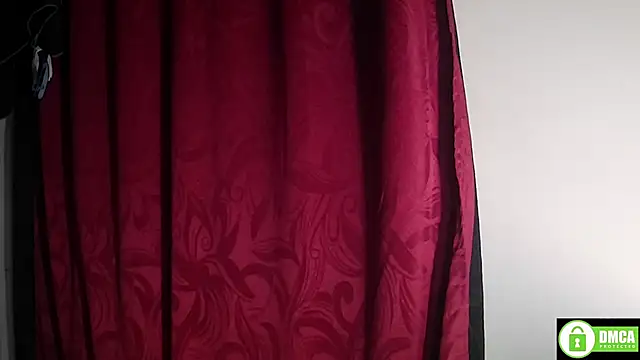 StarElii webcam