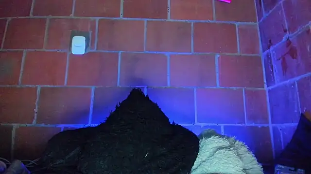 Cata-angel webcam