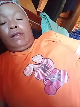 Ip34 webcam