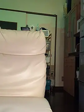 SaneService9 webcam