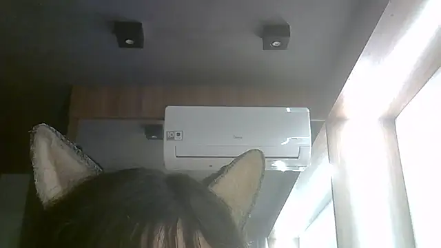 SkinnyKitten webcam
