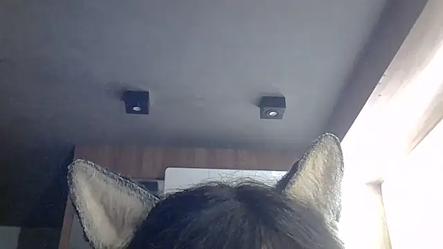 SkinnyKitten webcam
