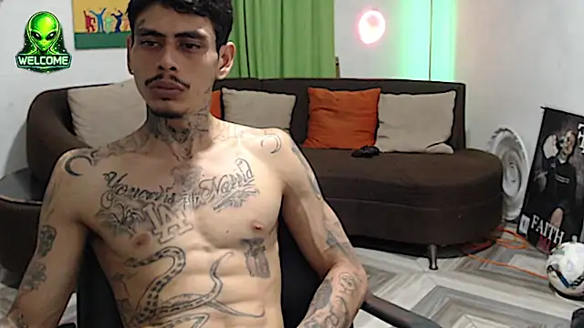 alpha_zom webcam