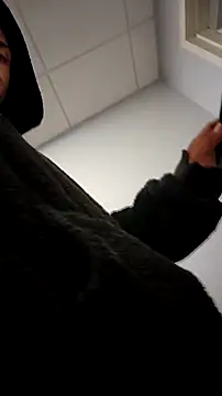 ZeldaSneakyLink webcam