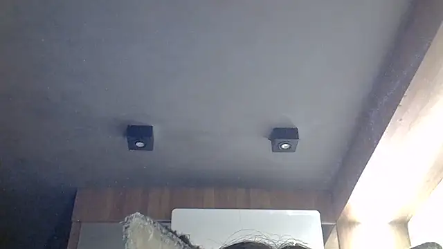 SkinnyKitten webcam