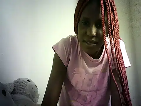 DelteAfriq webcam