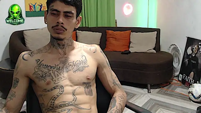 alpha_zom webcam