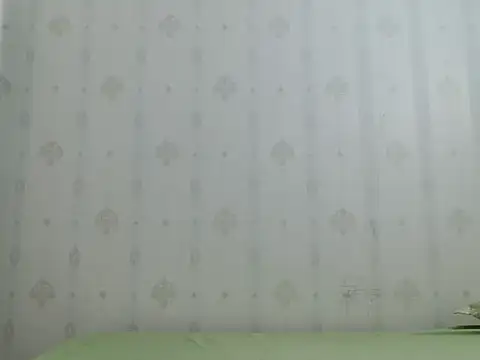 coco-LL webcam