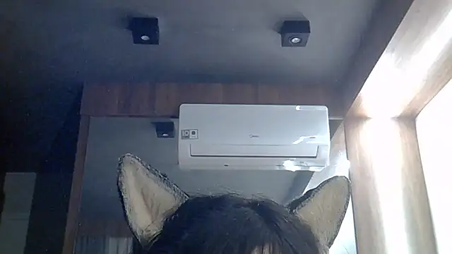 SkinnyKitten webcam