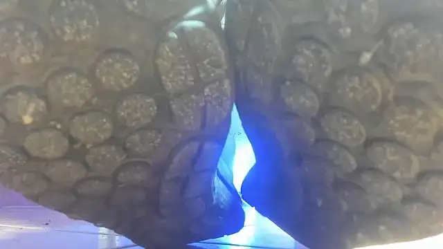MasterSEX420 webcam