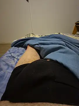 Bretoncool webcam