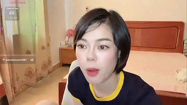 Linda-LL webcam