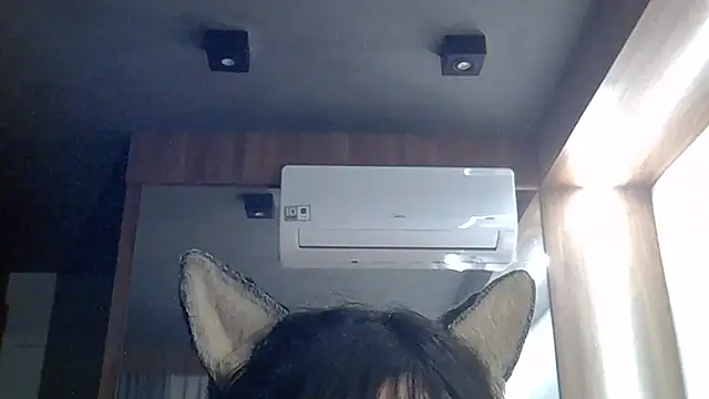 SkinnyKitten webcam
