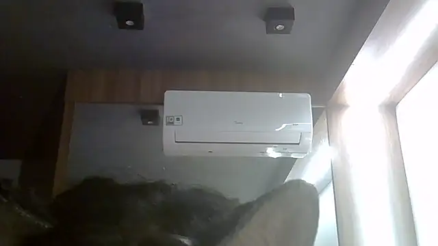 SkinnyKitten webcam
