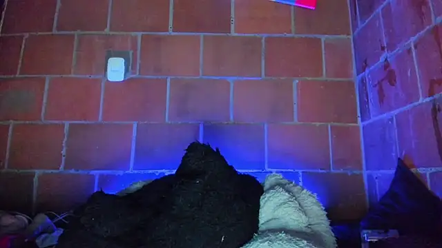 Cata-angel webcam