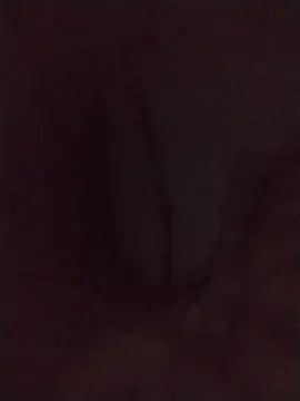 perrongo21 webcam