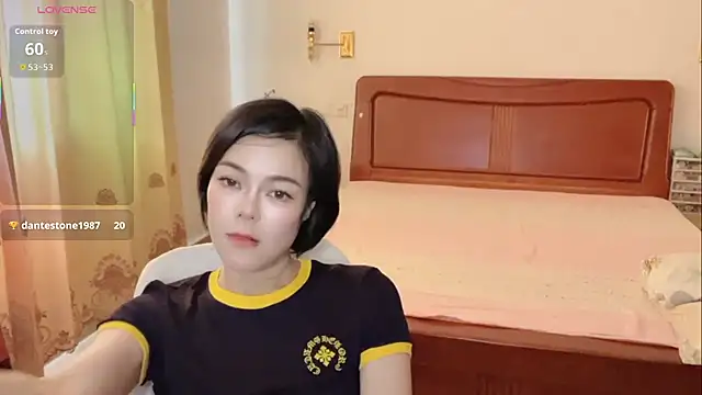 Linda-LL webcam