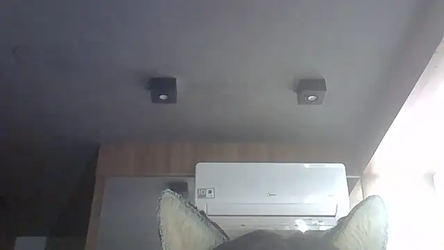 SkinnyKitten webcam