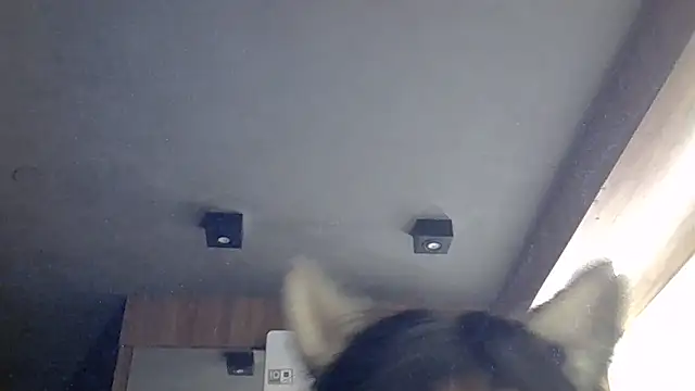 SkinnyKitten webcam