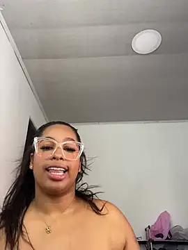 NV-Nikoll webcam