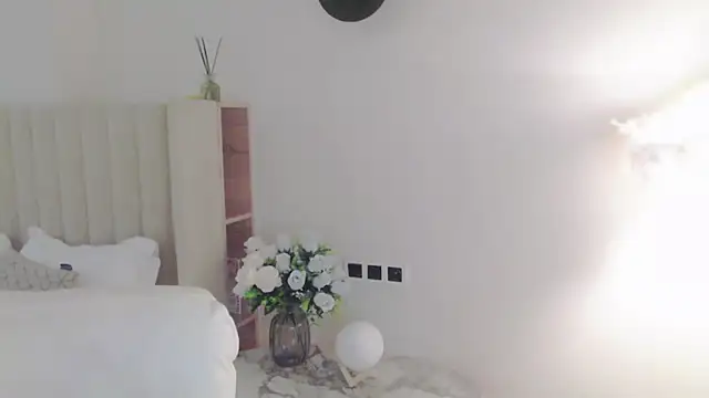 VeliaSai webcam