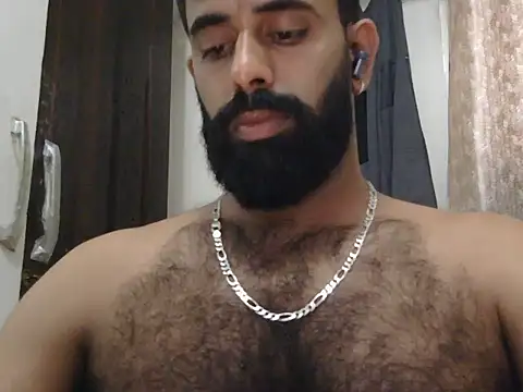 indianhairybull webcam