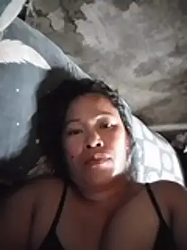 66pineapple webcam