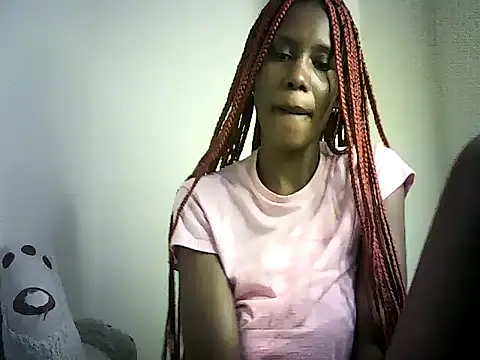 DelteAfriq webcam