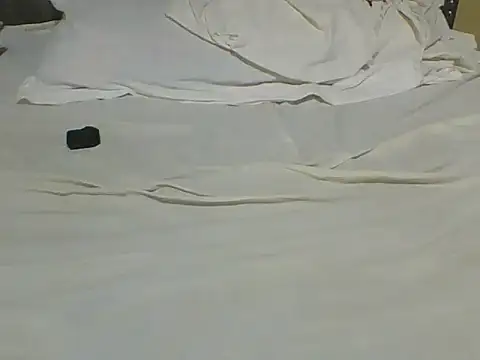 Dizzydose webcam