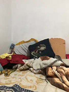 EliVanegas webcam