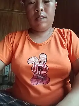 Ip34 webcam