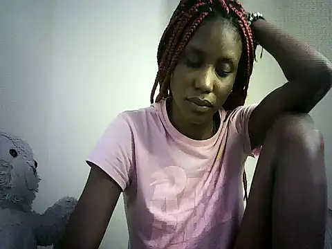 DelteAfriq webcam