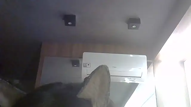 SkinnyKitten webcam