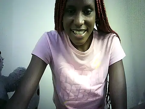 DelteAfriq webcam
