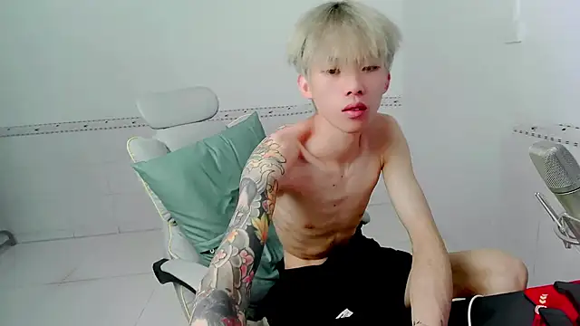 KPL-11 webcam