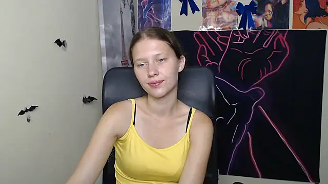 StellaCRL webcam
