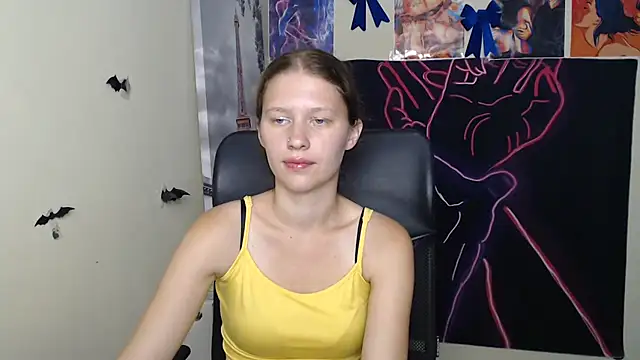 StellaCRL webcam