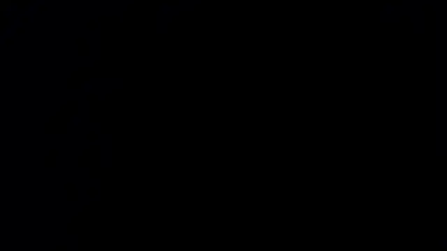 Dante_Ferrara2025 webcam