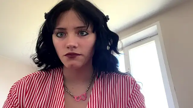 SoagAlexa webcam