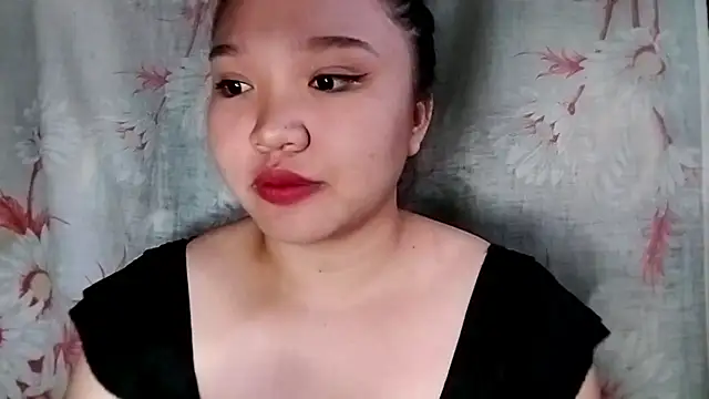 AnDominik webcam