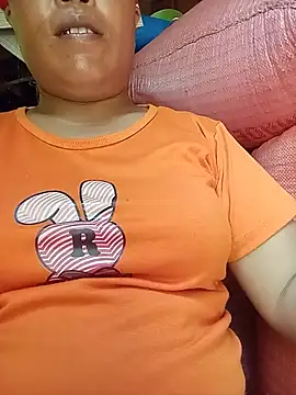 Ip34 webcam