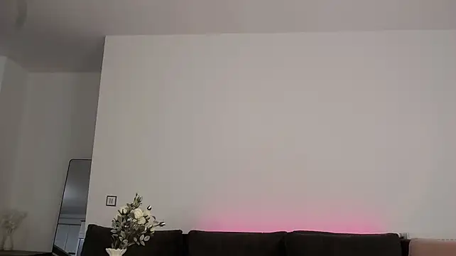 CrystalRedd webcam