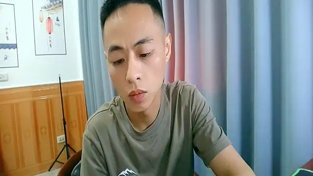 UpeLark webcam