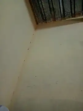 MrCum305 webcam