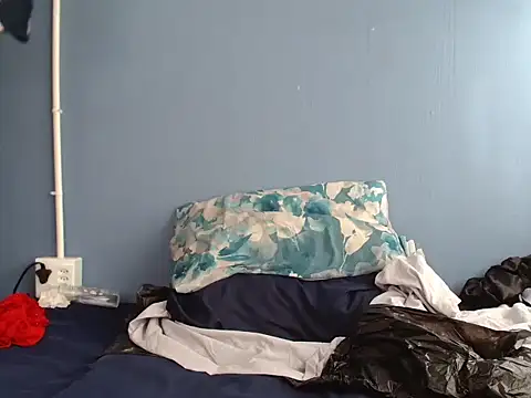Bella-Curver webcam