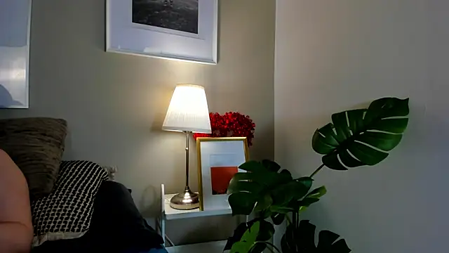Scarleet_DH webcam