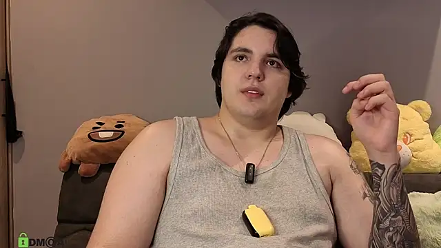 MaxFerrer webcam