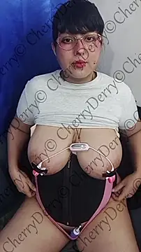 CherryDerry webcam